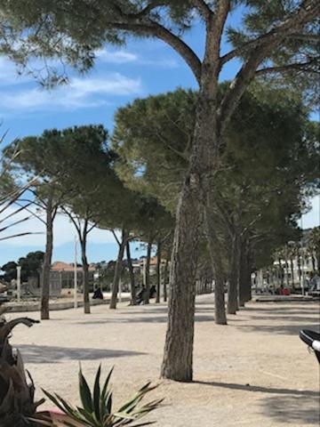 La Ciotat : Superbe Appartement Proche Du Port מראה חיצוני תמונה